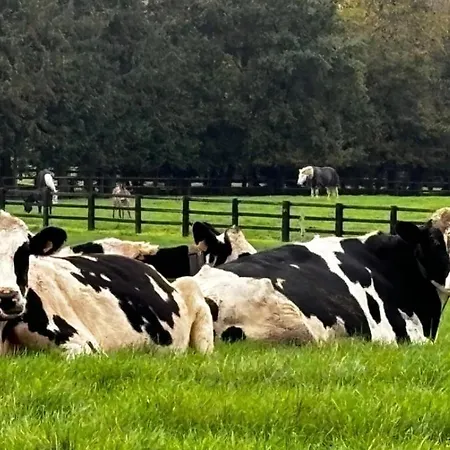 Cosy Villa, Near Villa *